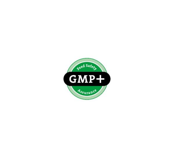 gmp-logo